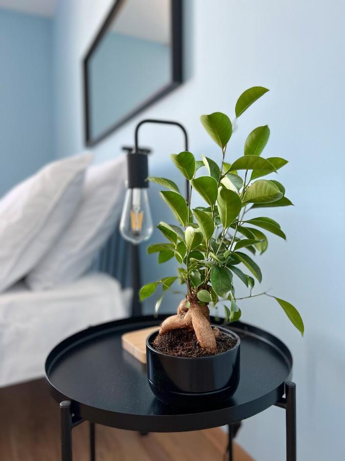 Apartamenty Rynek 7 Cieszyn  Esterno foto