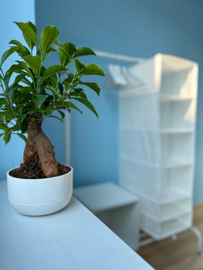 Apartamenty Rynek 7 Cieszyn  Esterno foto